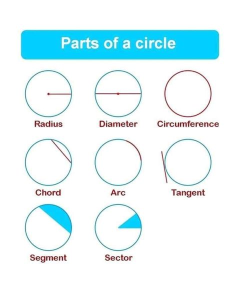 Parts of circle Parts Of A Circle Anchor Chart, Area Related To Circle Formula Class 10, Circumference Of A Circle Worksheet, Areas Related To Circles Formula, How To Find Circumference Of A Circle, Parts Of A Circle, Effective Study Tips, Math Methods, School Notes