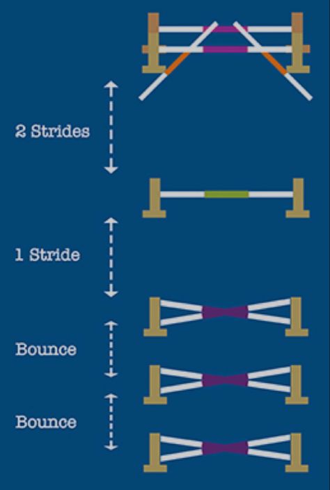 Horse Jump Exercises, Horse Pole Work Exercises, Grid Work For Horses, Horse Gymnastic Exercises, Jumps For Horses, Show Jumping Exercises, Jump Courses For Horses, Pole Work Exercises For Horses, Showjumping Course