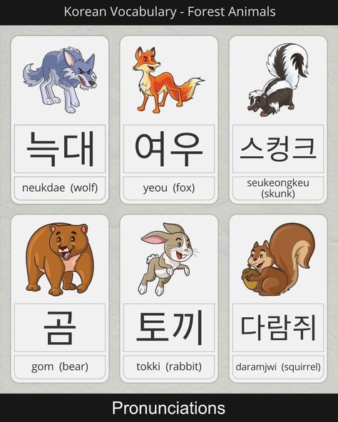 Animals In Korean, Korean Forest, Cute Korean Words, Korean Vocab, Learning Korean Grammar, Learn Basic Korean, Learn Korean Alphabet, Easy Korean Words, Learn Hangul