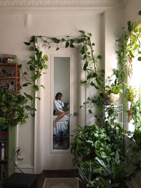 plant inspo trailing pothos plants Minimal Plant Aesthetic, Pothos Bedroom Decor, Plants On Wardrobe, Pothos Home Decor, Trailing Pothos Wall, Rooms With Plants Aesthetic, Floor Plants Bedroom, Pothos Trailing Ideas, Pothos Plant Ideas