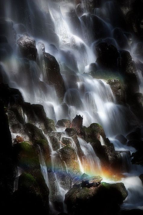 Ramona Falls - Mt. Hood National Forest, Rhododendron, Oregon