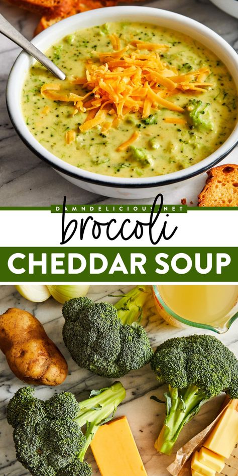 Nothing beats homemade soup! This is the BEST Broccoli Cheddar Soup for your fall dinner ideas. So creamy and so cheesy, this broccoli soup is a yummy comfort food even picky eaters will love! Broccoli Cheddar Soup Easy, Soup Easy Healthy, Cheddar Broccoli Soup, Best Broccoli Cheese Soup, Cheesy Soup, Creamy Broccoli Cheddar Soup, The Best Broccoli, Broccoli Cheddar Soup Recipe, Cheddar Broccoli