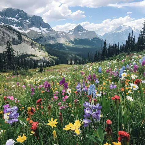 Rocky Mountain Wildflowers, Banff National Park Aesthetic, Cute Mountain Pictures, Mountain With Flowers, Wildflowers Colorado, French Mountains, Montana Wildflowers, Flowers Mountain, Colorado Aesthetic