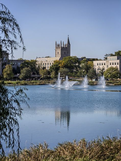 Northwestern University,    Evanston, IL Campus. Pinned by #ChiRenovation - www.chirenovation.com Northwestern Aesthetic, Uconn Campus, Northwestern University Aesthetic, Romanticize College, Stanford University Aesthetic Campus, North Western University, Miniature Watercolors, University Of Oregon Campus, Northwestern University Campus