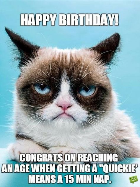 Happy Birthday! Congrats on reaching an age when getting a "quickie" means a 15 min nap. Sarcastic Birthday Wishes, Grumpy Cat Quotes, Funny Wishes, Spanish Translation, Sarcastic Birthday, Quotes Sarcastic, Cat Humor, Grumpy Cat Humor, Cat Quotes Funny