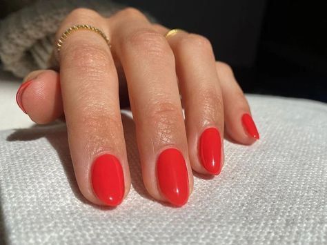 Red Round Nails, Gel Nails Shape, Round Square Nails, Short Red Nails, Oval Shaped Nails, Mani Ideas, Short Gel Nails, Short Square Nails, Summery Nails