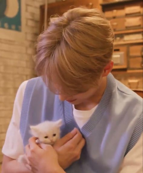 seventeen jun Harry Carry, Seventeen Junhui, Wen Junhui, Seventeen The8, Facing The Sun, Seventeen Jun, Cute Cats Photos, Seventeen Debut, Seventeen Wonwoo