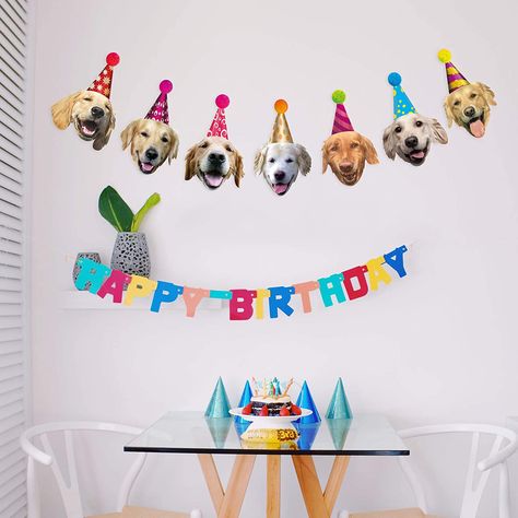 AmazonSmile: Golden Retriever Birthday Garland, Dog Face Portrait Birthday Banner, Bday Bunting Decoration… : Home & Kitchen Golden Retriever Birthday, Stem Projects For Kids, Funny Dog Faces, Science Kits For Kids, Pet Birthday, Girls Party Decorations, Dog Cake Topper, Birthday Garland, Face Portrait