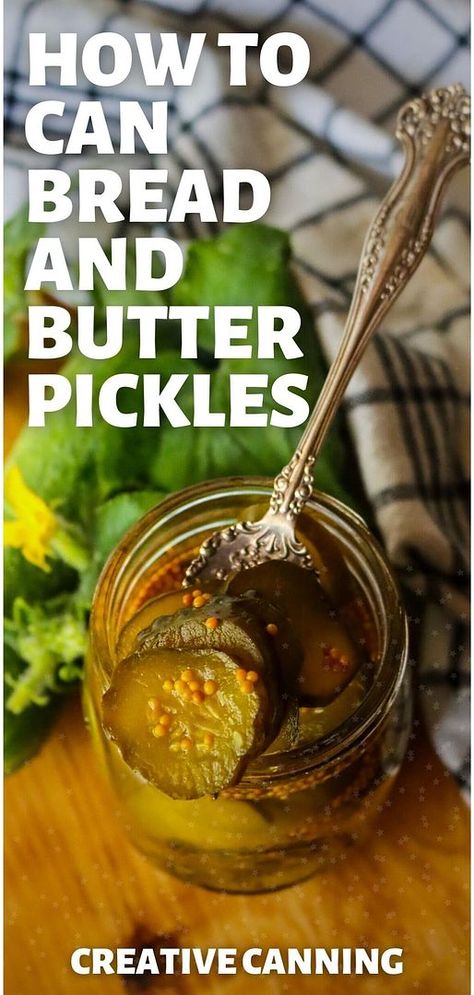 Learn how to can bread and butter pickles with this easy-to-follow recipe. Enjoy the sweet and tangy flavors of these old-fashioned pickles year-round. Perfect for home canners, this tested canning recipe is a must-try. Find more canning recipes for beginners, home canning recipes, canning cucumbers for pickles, and Homemade Pickling Recipes for Canning at creativecanning.com. Canning Cucumbers, Canning Recipes For Beginners, Can Bread, Sweet Pickles Recipe, Bread N Butter Pickle Recipe, Bread And Butter Pickles, Cucumber Canning, Butter Pickles, Canning Pickles