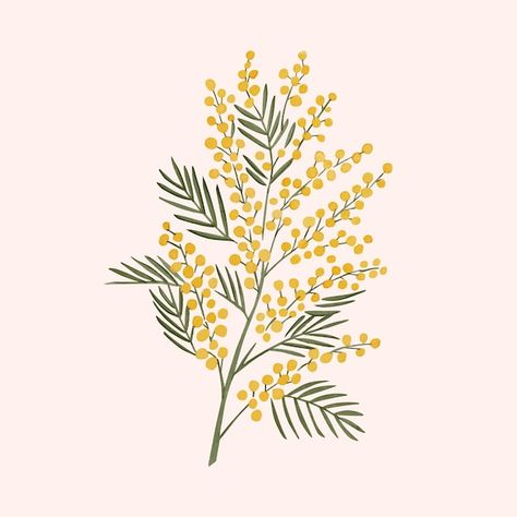 Premium Vector | Vector sketch australian native flowers background Mimosa Illustration, Native Drawings, Wildflower Drawing, Australian Wildflowers, Flower Line Drawings, Australian Flowers, Australian Native Flowers, Native Flowers, Flowers Background