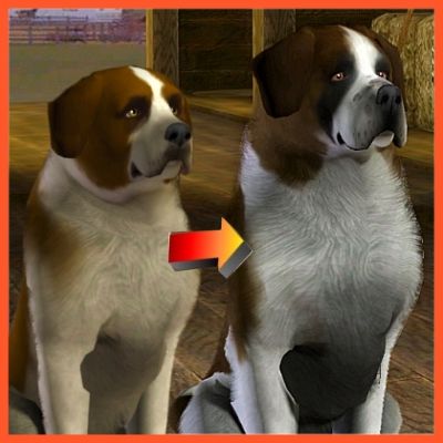 Saint Bernard Improved by LittleV - The Exchange - Community - The Sims 3 The Sims 3 Pets, Sims Pets, Sims 3 Cc Finds, Sims 3 Mods, Play Sims, Dog Skin, Sims 1, Saint Bernard, Sims 2