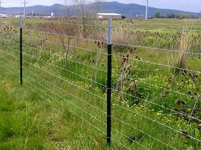 High Tensile Field Fence for Horses, Goats, Cows and Some Plants Hi Tensile Fence, High Tensile Fence, Sheep Fence, Goat Fence, Raising Livestock, Agricultural Fencing, Livestock Fence, Keeping Goats, Pasture Fencing