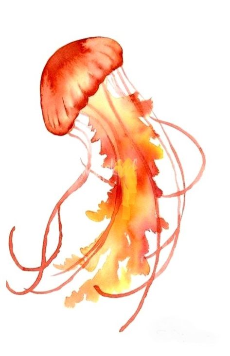 Jellyfish Lantern, Jellyfish Jewelry, Jellyfish Illustration, Jellyfish Photography, Jellyfish Decorations, Watercolor Jellyfish, Jellyfish Painting, Jellyfish Drawing, Jellyfish Craft