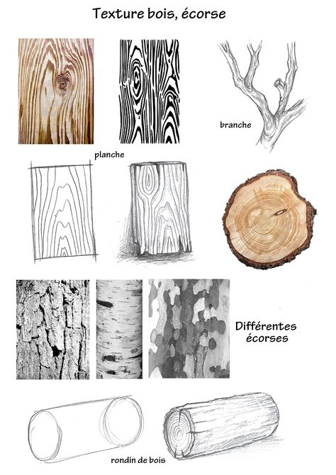 Tree Bark Drawing Texture, Wood Drawing Reference, How To Draw Wood Grain, How To Draw Wood Texture, Wood Texture Sketch, Tree Trunk Sketch, Tree Texture Drawing, Tree Bark Drawing, Wood Texture Drawing