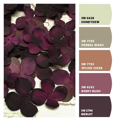 Paint colors from ColorSnap by Sherwin-Williams Playroom Colours, Eggplant Paint, Eggplant Paint Color, Plum Color Palette, Craft Room Closet, Home Paint Color, Mulberry Bush, August Sander, Colorful Playroom