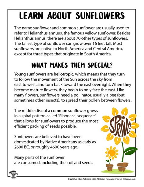 Sunflower Lesson Plans, Sunflower Lesson Plan Preschool, Sunflower Provocation, Gardening Homeschool, Sunflower Science, Sunflower Mood Board, Sunflower Activities, Growing Sunflowers From Seed, Sunflower Party Themes