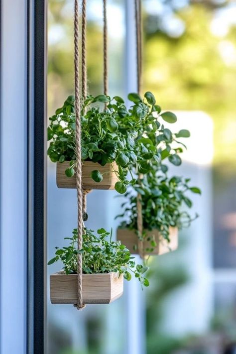 "Freshen up your kitchen with a DIY hanging herb garden! Perfect for adding greenery to small spaces. 🌿🌱 #DIYHomeDecor #HerbGarden #KitchenDecor" Hanging Herbs In Kitchen, Herbs In Kitchen, Diy Hanging Herb Garden, Bedroom Farmhouse Decor, Hanging Herb Garden, Hanging Herbs, Kitchen Herbs, Bedroom Farmhouse, Diy Home Decor Bedroom