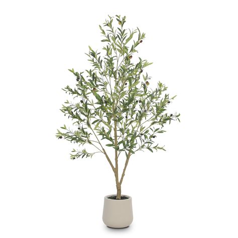 PRICES MAY VARY. ✅ Planter Included - Our olive tree comes with a 10.25 inch White Planter ,save extra purchase of planter.The artificial Olive tree is pre-assembled in a sturdy plastic planter for easy placement and care. ✅ Easy Maintenance - No sunlight,No watering, No pruning, No fertilizer required, the faux plants tall is an ideal room decoration for people who love plant but don’t have the time or energy to care for a real one. ✅ Lifelike Artificial Plant - Realistic looking plant with vibrant colors, and true to life texture details.The olive trees artificial indoor are lifelike, when it is windy, it can sway in the breeze, creating a natural and comfortable atmosphere, bringing you comfort and adding color to your room. ✅ Perfect All Seasons Home Decor - Suitable for living room, s Plants In Baskets Indoor, Olive Tree Indoor, Plants For Bedroom, Tall Fake Plants, Plants In Baskets, Artificial Olive Tree, Plastic Planter, Faux Olive Tree, Wood Trunk