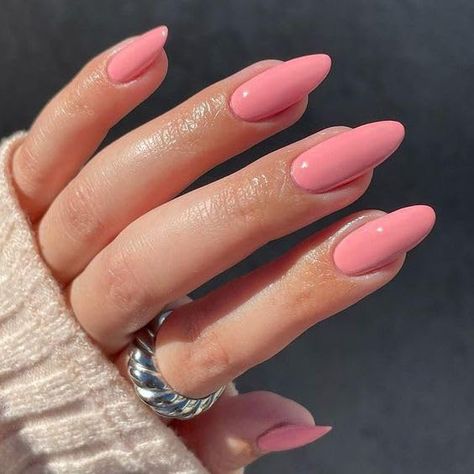 Check out this list Nails Art from protoloker Nails Almond Medium, 2016 Nails, Press On Nails Almond, Pink Press On Nails, Nails Press Ons, Pink Nail Colors, Baby Pink Nails, Nail Sets, Chocolate Ice