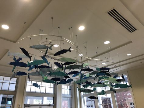 This installation was created by me and a student. We cut the fish out of wood and hung them from aluminum standards. They were mounted on the ceiling in our school office. Fish Hanging From Ceiling, Hanging Art Installation, Office Ceiling, Cozy Restaurant, Ceiling Hanging, Fishing Decor, Landscape Architecture Design, Dental Office, Artwork Display