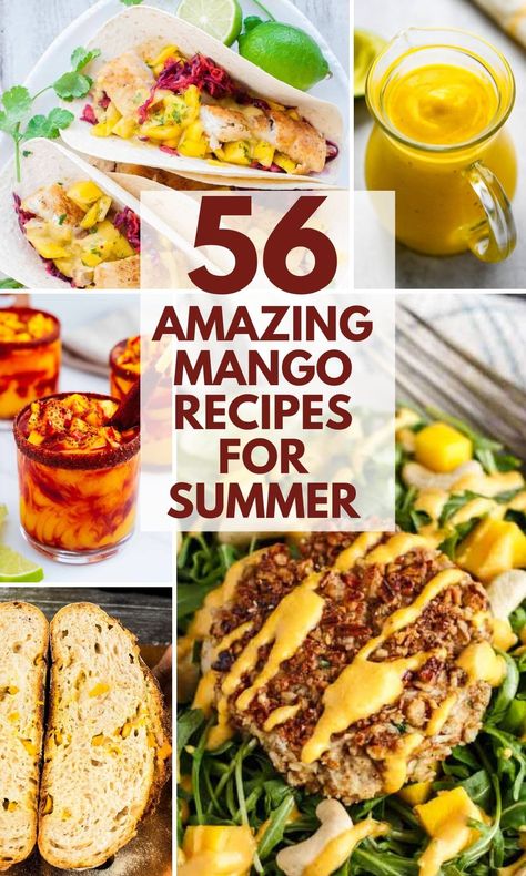 Dinner Recipes With Mango, Savory Mango Recipes, Mango Dinner Recipes, Mango Food Recipes, Healthy Mango Recipes, Recipes Using Mango, Fresh Mango Recipes, Mango Salads, Mango Recipes Healthy