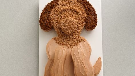 Cute Golden Doodle, Dog Cake Recipe, Fire Engine Cake, Doodle Cake, Betty Crocker Cake Mix, Dog Cake Recipes, Betty Crocker Cake, Golden Doodle Dog, Cake Mix Ingredients