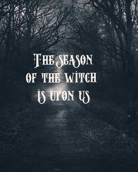 Winter Witch Aesthetic, Witchy Winter, Winter Aesthetic Wallpaper, Season Of The Witch, Witch Aesthetic, Winter Aesthetic, Aesthetic Wallpaper, Witch, Quick Saves