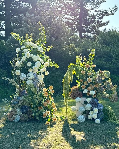 It’s the dappled sunlight and hanging amaranthus drip for me 👀 with Vivvy @folastyling Green Amaranthus Wedding, Hanging Amaranthus Wedding, Hanging Amaranthus Centerpiece, Hanging Amaranthus Wedding Arch, Hanging Wedding Floral Installations, Hanging Amaranthus, Dappled Sunlight, Classic Wedding Inspiration, Hanging Flowers