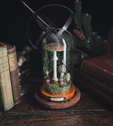 Handmade poisonous Amanita pantherina mushroom in glass cloche on Etsy. Faux Terrarium, Cloche Terrarium, Glass Cloche Decor, Naturalist Decor, Cloche Decor, Green Academia, Glass Dome Cloche, Cloche Domes, Moss Terrarium