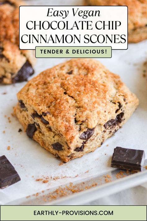 These Vegan Chocolate Chip Cinnamon Scones are an easy and delicious vegan brunch recipe! These scones are full of cinnamon and chocolate and are topped with a sprinkle of crunchy cinnamon sugar. They are dairy free, eggless and completely vegan! Vegan Breakfast Baked Goods, Quick Desserts Vegan, Vegan Breakfast Pastry Recipes, Vegan Breakfast Quick, Easy Vegan Baking Recipes, Vegan Scones Recipe Easy, Vegan Scones Recipe, Dairy Free Scones, Vegan Baked Goods