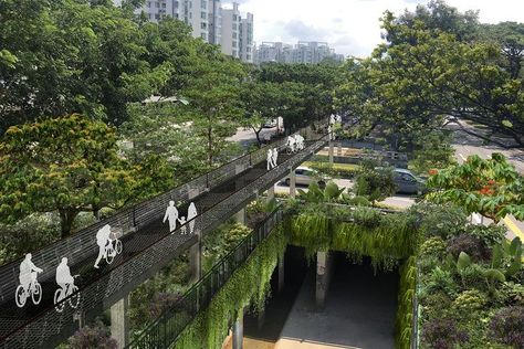 New green corridor to connect Singapore's three national gardens, Singapore News & Top Stories - The Straits Times Singapore Landscape, Henderson Waves, Green Cities, Green Bridge, Green Corridor, Singapore Botanic Gardens, Bukit Timah, New Urbanism, Linear Park