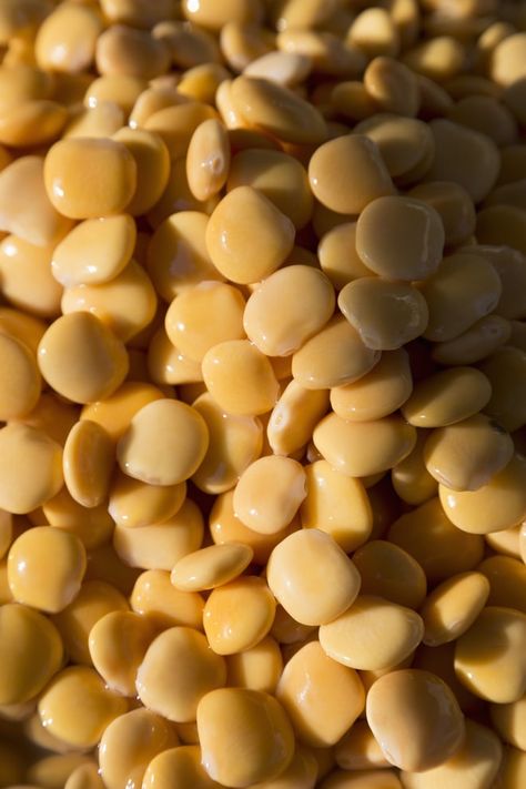 Lupini Beans Lupine Beans Recipe, Lupin Beans Recipe, Lupini Beans Recipe Dishes, Roasted Lupini Beans, Lupini Bean Flour Recipes, Canneli Beans, Lupine Beans, Lupini Beans Recipe, Lupini Beans