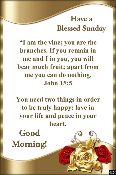 Sunday Morning Scripture, Sunday Bible Verse, Wonderful Day Quotes, Sunday Morning Prayer, Morning Verses, Good Morning Scripture, Blessed Sunday Quotes, Blessed Sunday Morning, Morning Bible Quotes