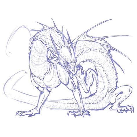 Dragon Poses, Dragon Anatomy, Eastern Dragon, Dragon Sketch, Pose References, Creature Drawings, Monster Concept Art, Dragon Pictures, Fantasy Creatures Art