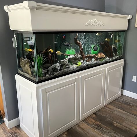 Fish Tank Cabinets, Aquarium Fish, Fish Tank, Reptiles, Animals