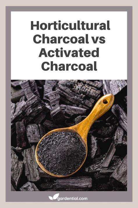 What Is Activated Charcoal, Soil Enrichment, Carbon Element, Soil Microorganisms, Plant Hacks, Activated Carbon, Activated Charcoal, Soil Improvement, Secret Recipe