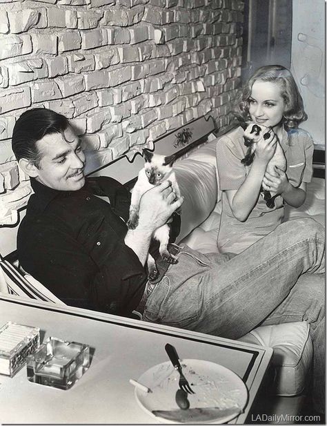 Klasik Hollywood, Celebrities With Cats, Patricia Highsmith, Carole Lombard Clark Gable, Carole Lombard, Sean Penn, Serge Gainsbourg, Vivien Leigh, Siamese Kittens