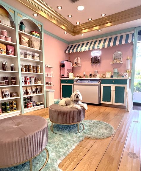 Boho Dog Grooming Salon, Pet Boutique Ideas Store Design, Dog Grooming Shop Ideas Interior Design, Dog Grooming Aesthetic, Pet Store Aesthetic, Dog Grooming Shed Salon, Dog Salon Ideas Interior Design, Pet Boutique Ideas, Pet Grooming Salon Ideas Design