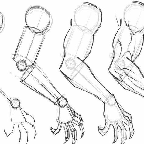 Human Structure Sketch, Hand Structure Anatomy, Male Hand Anatomy, Men Body Tutorial, Head Shots Poses Drawing, Male Body Base Pose, Legs Drawing Tutorial, How To Draw Body Poses, Body Step By Step Drawing