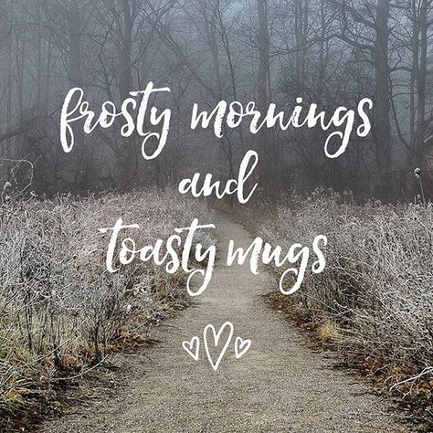 Brrr... Winter Morning Quotes, Cold Quotes, Weather Quotes, Season Quotes, Winter Quotes, Winter Words, Winter Mornings, Image Nature, Sunday Quotes