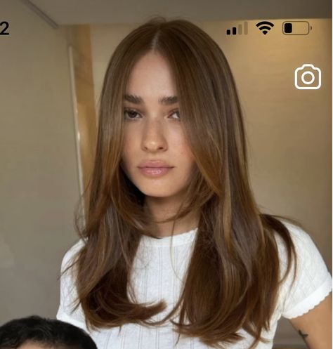 Haircuts Armpit Length, Brown Balayage Medium Length, Armpit Length Hairstyles, Long Layers With Face Framing Pieces 90s, Armpit Length Haircut With Layers, Medium Length Light Brown Hair, Armpit Length Hair With Layers, Mid Length Haircut Straight, Armpit Length Haircut