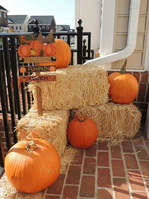 Fall Decorations With Hay Bales, Pumpkin Patch Decoration, Hay Bale Decor, Pumpkin Patch Birthday Party, Pumpkin Patch Birthday, Fall Baby Shower Themes, Pumpkin Patch Party, Fall Dining Table, Fall Harvest Party