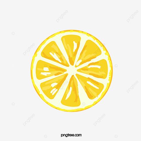 Cartoon Lemon Slice, Sliced Lemon Drawing, Citrus Drawing Simple, Painted Lemon Slice, Lemon Slice Illustration, Lemon Vector Illustration, Lemon Cartoon Drawing, Fruit Slice Drawing, Lemon Illustration Design