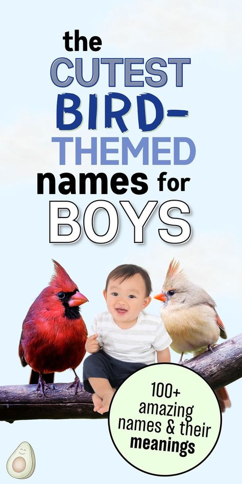 THE CUTEST BIRD-THEMED NAMES FOR BOYS - 100+ AMAING NAMES AND THEIR MEANINGS - PICTURE OF TWO BIRDS AND A BABY BOY SITTING ON A BRANCH Best Male Names, Pretty Boy Names, Earthy Boy Names, Greek Names For Boys, Unique Names For Boys, Name Ideas Unique, Rainbow Baby Names, Name Combinations, Hippie Names