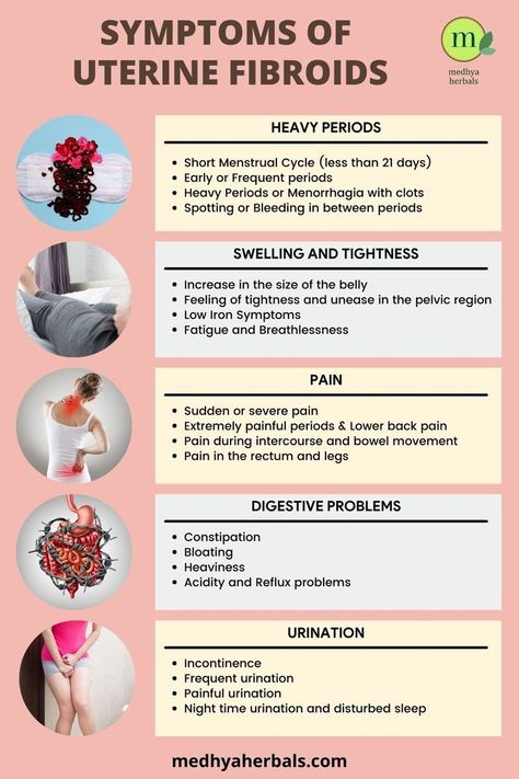 The symptoms experienced due to uterine fibroids can vary widely depending on the size, number, and location of the fibroids. In addition, presence of fibroids often is often accompanied by fatty liver disease in which your fat metabolism is compromised leading to sluggish liver function, weight gain, digestive and metabolic health issues. Fibroid Diet, Fibroid Uterus, Fibroid Tumors, Low Estrogen Symptoms, Pelvic Region, Pelvic Pain, Healthy Routine, Reproductive System, Digestion Problems