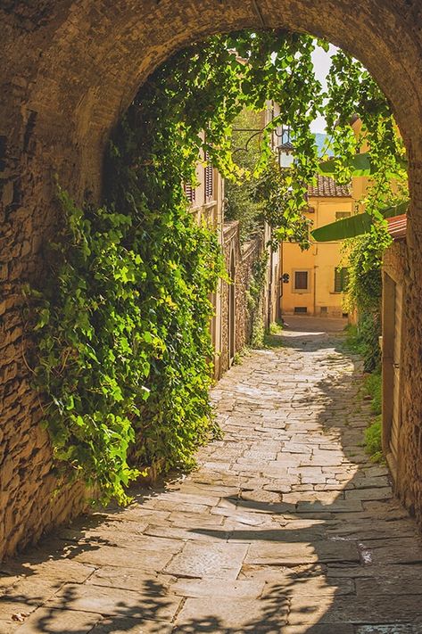 Old Street, Pillow Shams, Vines, Curtains, Italy, Building, Free Shipping, Green