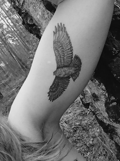 Mein Krafttier Buzzard Tattoo, Common Buzzard, Buzzard, Leaf Tattoos, Maple Leaf Tattoo, Maple Leaf, Tattoo Ideas, Tattoos