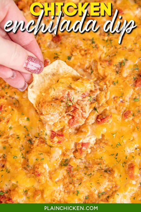 Chicken Rotel Dip, Cream Cheese Rotel, Rotel Cheese, Plain Chicken Recipe, Enchilada Dip, Chicken Enchilada Dip, Chicken Cream Cheese, Chicken Dip Recipe, Plain Chicken