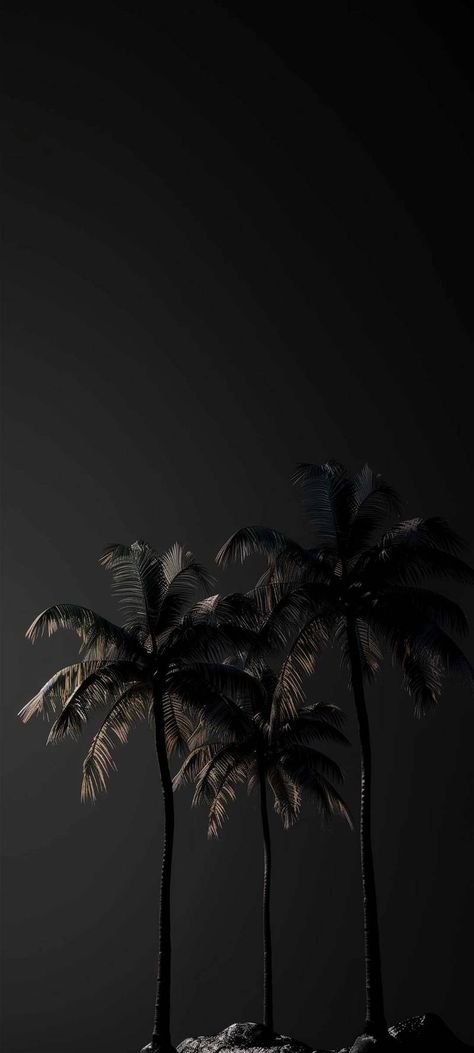 Black Simple Wallpaper Aesthetic, Black Wallpapers, Black Hd Wallpaper Iphone, Mi Wallpaper, Black Hd Wallpaper, Xiaomi Wallpapers, Iphone Wallpaper For Guys, Black Wallpaper Iphone Dark, Qhd Wallpaper