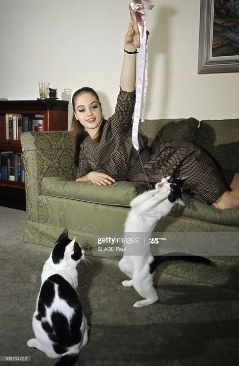 Suzanne Farrell, Pretty Ballerinas, S Icon, Ballet Beautiful, Girls Rules, Dance Photos, Ballet Dancers, Still Image, Getty Images